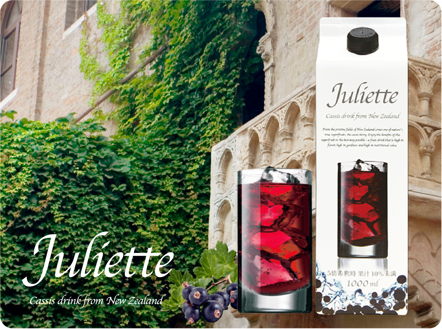 ベネシード ドゥ ソワン モイスチュア フォーム 2本セット 新